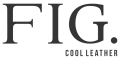 Logotipo FIG.